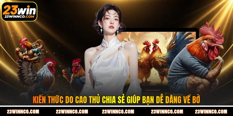 Kiến thức do cao thủ chia sẻ giúp bạn dễ dàng về bờ